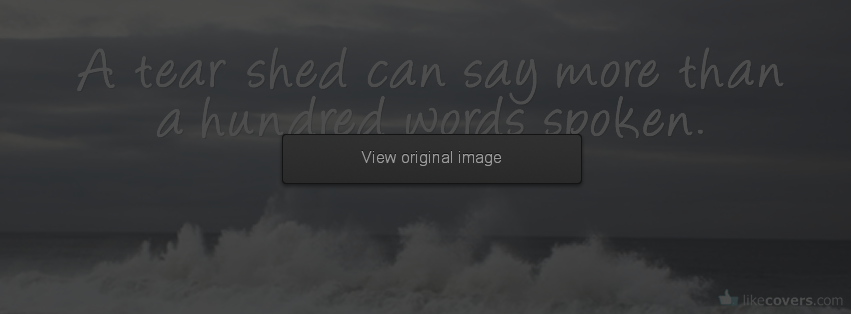 A tear shed can say more than a hundred words spoken