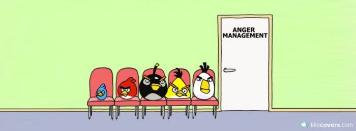 Angry Birds ANger Managment