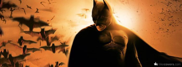 Batman and Bats Closeup