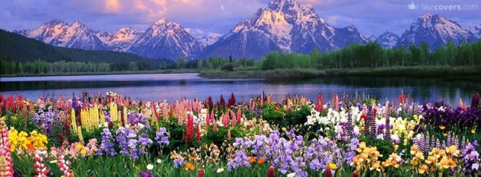 Beautiful Nature colorful flowers lake and mountains Facebook Covers