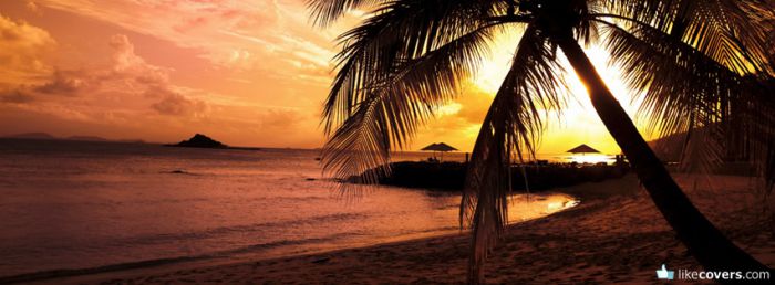 Beautiful Palm Tree Beach Sunset