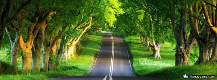 Beautiful Road Green Trees Facebook Covers