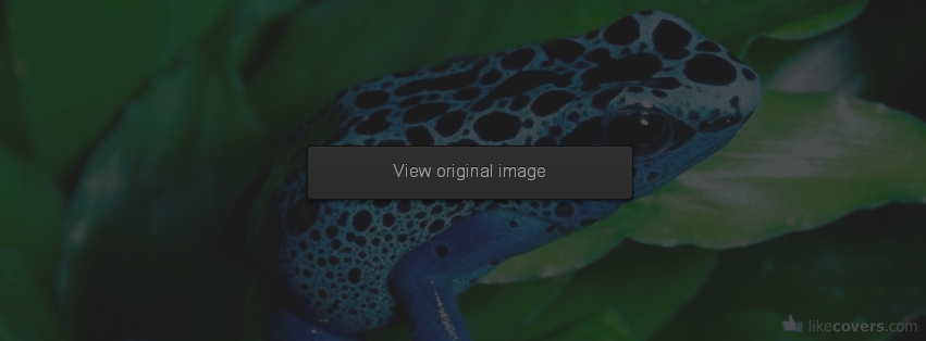 Blue Frog