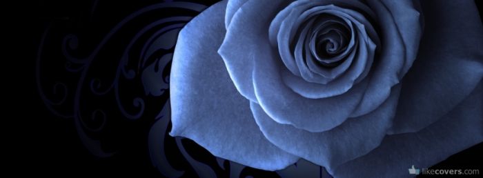 Blue Rose