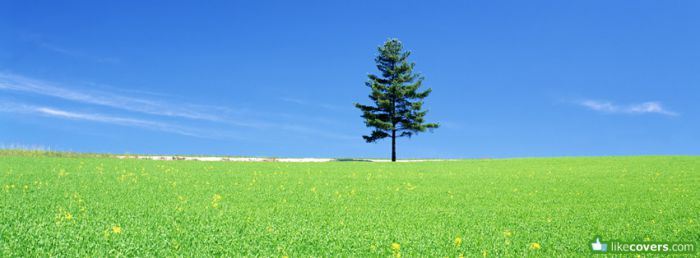 Bright Green field and bright blue sky Facebook Covers