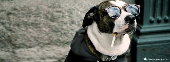 Cool dog with glasses and a Cigarette