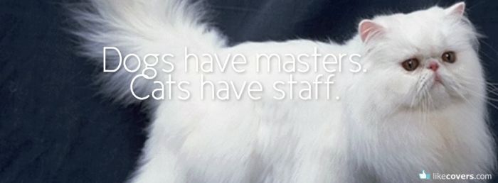 Dogs have masters, Cats have staff Facebook Covers