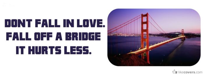 Dont fall in love fall off a bridge it hurts less Facebook Covers