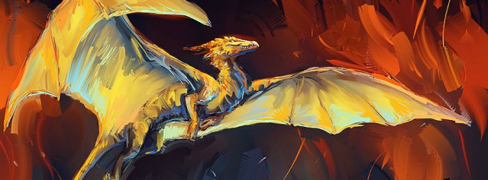 Dragon Facebook Covers
