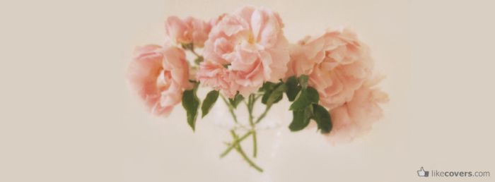 Elegant Flowers Solid Peach Background