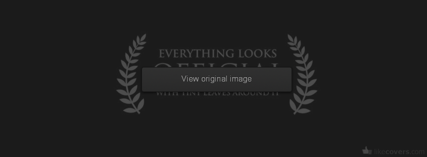 Everything Looks Official