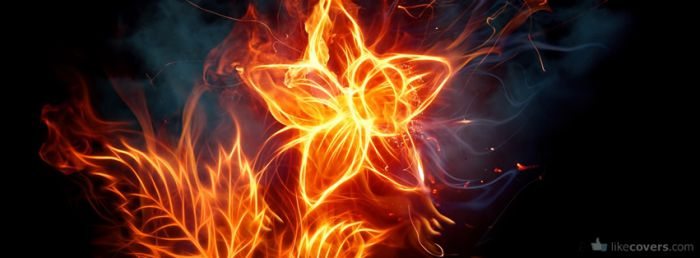 Flower made of fire on a dark background Facebook Covers