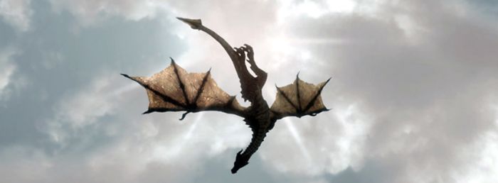 Flying Dragon Facebook Covers