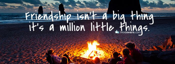 Friendship isnt a big thing bonfire Facebook Covers