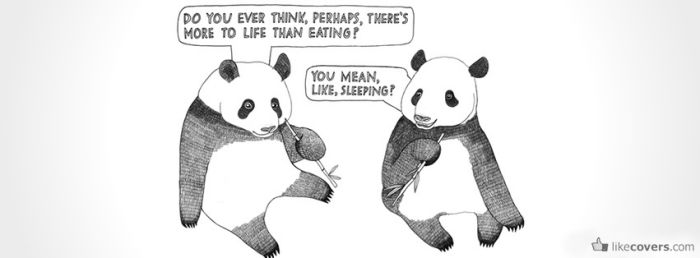 Funny Pandas Facebook Covers