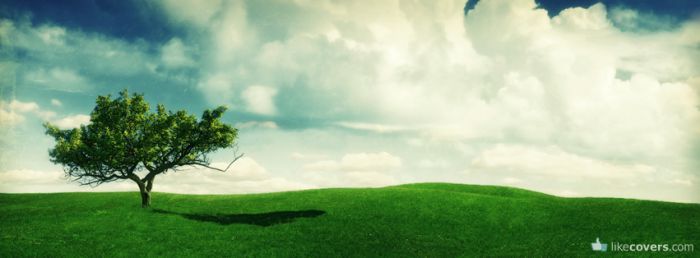 Green Grass Tree white clouds Facebook Covers