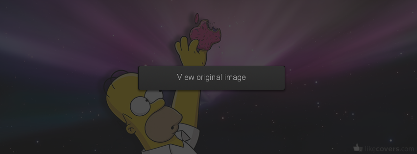 Homer eating apple donut Facebook Covers