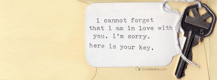 I cannot forget that I am in love with you