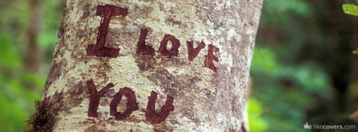 I love you carved into a tree Facebook Covers