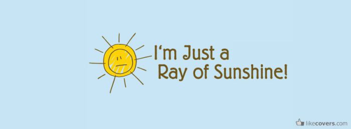 I'm just a ray of sunshine Facebook Covers