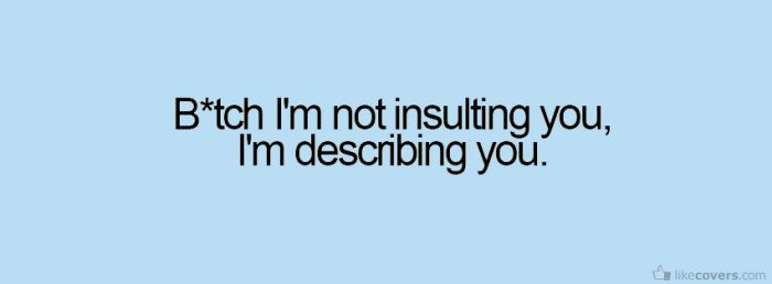 Im not insulting you im describing you