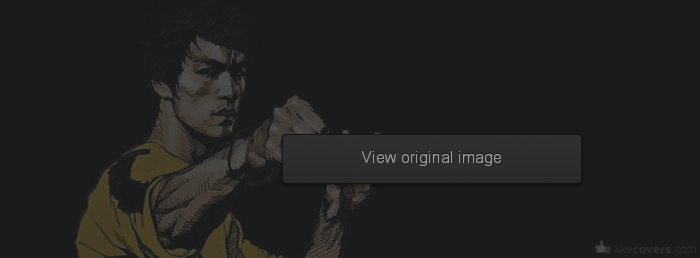 kung fu picture