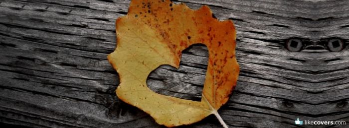 Leaf with a heart Facebook Covers