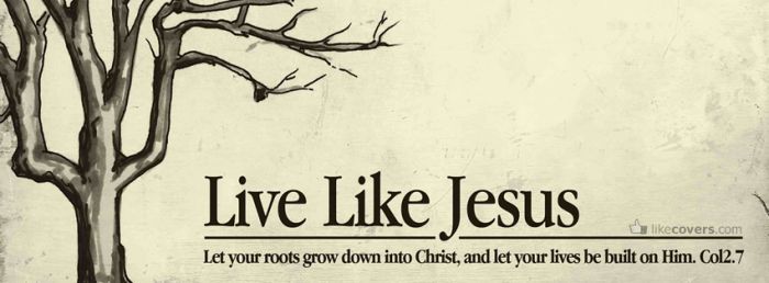 live like jesus Facebook Covers