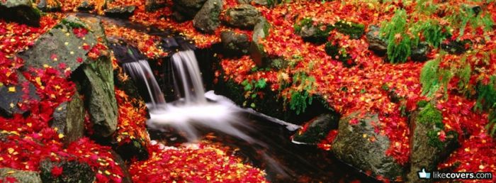 Mini Waterfall with red leaves