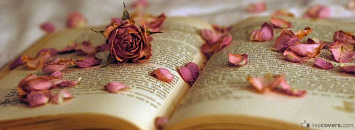 Old rose and rose petals on a book Facebook Covers