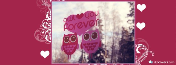 Owl love you forever Facebook Covers
