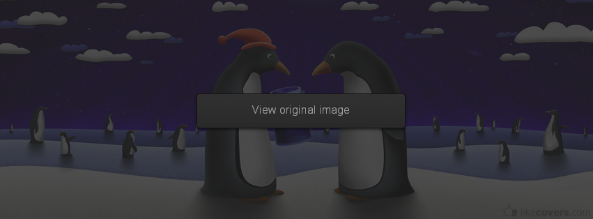 Penguins New Year