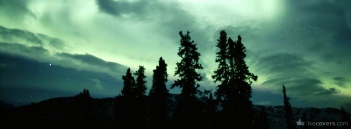 Pine Trees in the Night Sky Facebook Covers