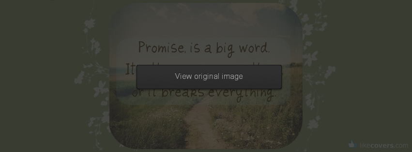 Promise is a big word