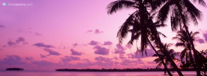 Purple Sky Palm Trees Beach Facebook Covers