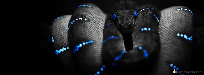 Snake Blue Lines Facebook Covers