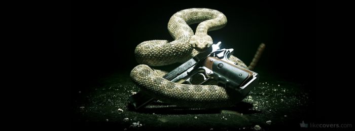 Snake holding a gun Facebook Covers