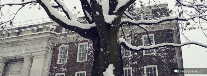 Snowy Day snow on tree and house Facebook Covers