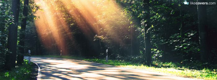 Sun Rays peaking through the trees Facebook Covers