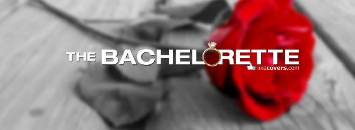 The Bachelorette Tv Show