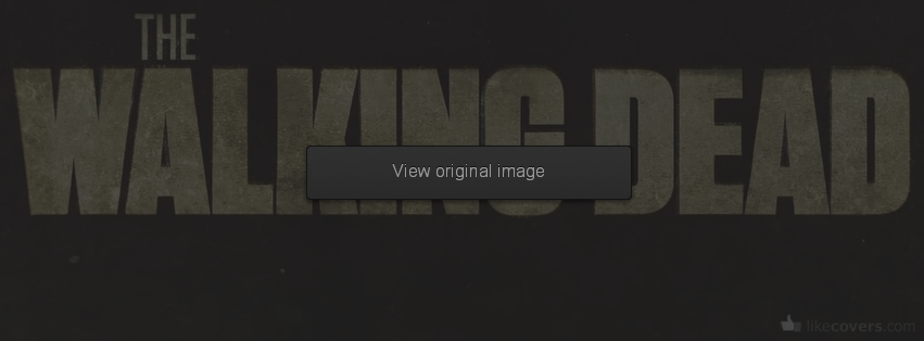 The Walking Dead TV Show