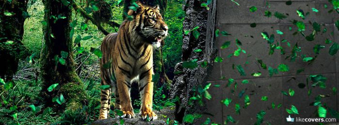 Tiger in the Jungle Facebook Covers