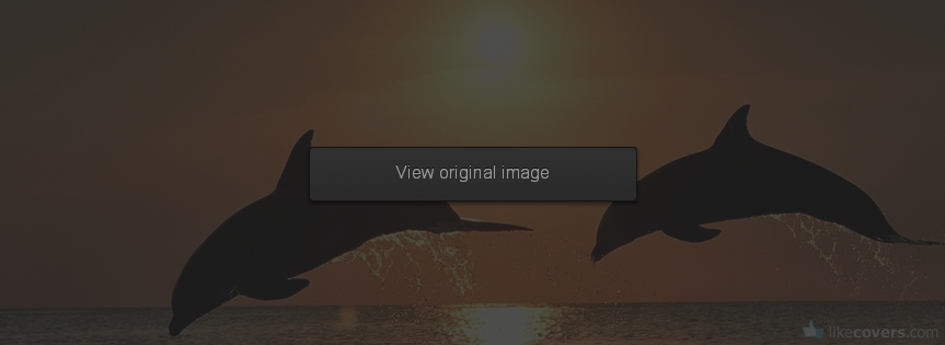 two delphins and the sun Facebook Covers