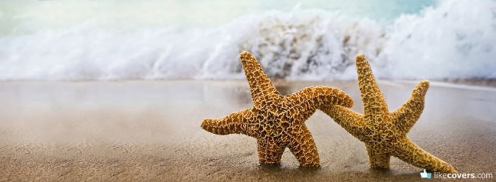 Two starfish in the sand Facebook Covers