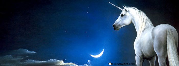 Unicorn at night