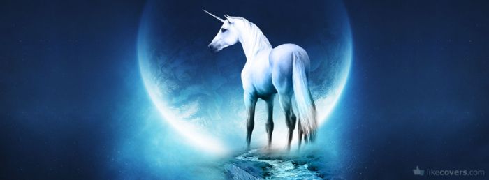 Unicorn in the moonlight Facebook Covers