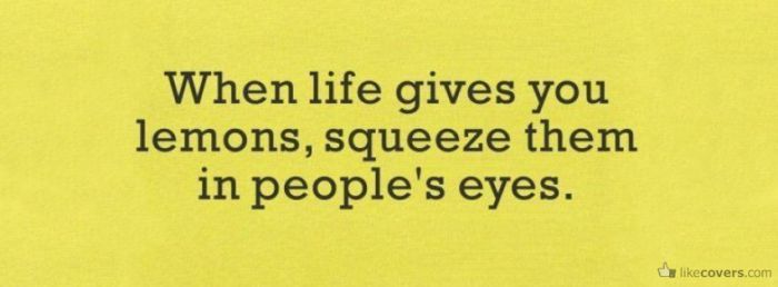 When Life gives you Lemons Squeeze them in people's eyes Facebook Covers