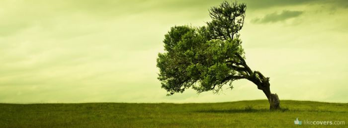 Wind blowing hard on a tree in the valley Facebook Covers